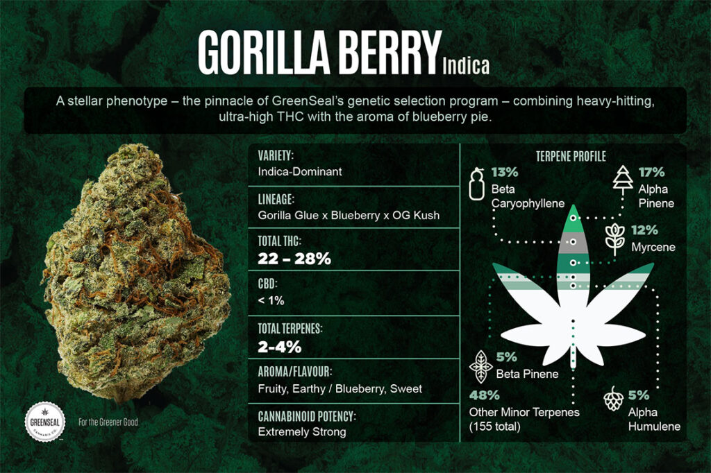 Gorilla Berry Cultivar Card