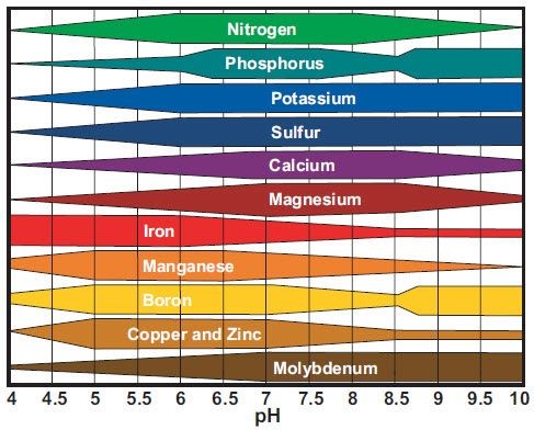 Nutrients Chart