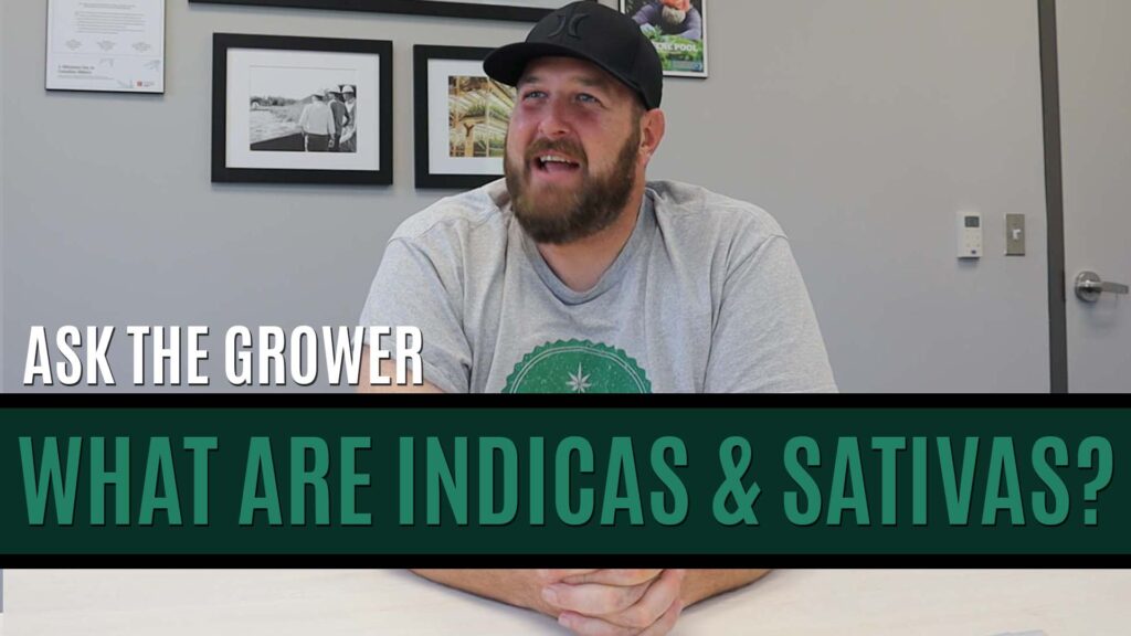 Ask The Grower - What Are Indicas and Sativas- Title Card