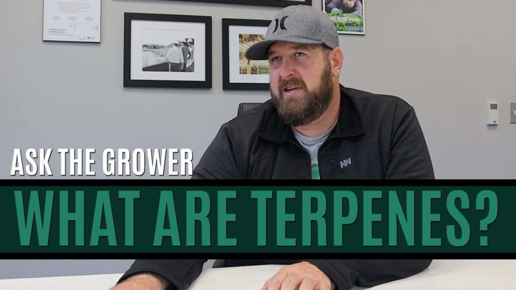 Ask The Grower - What Are Terpenes - Title Card