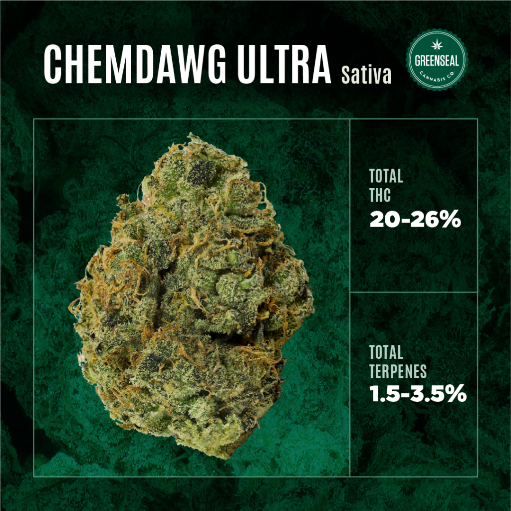 Chemdawg Ultra THC & Terp