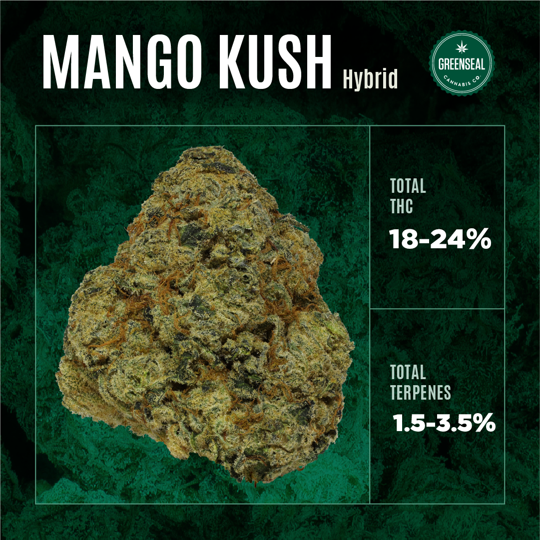 Mango Kush THC & Terp