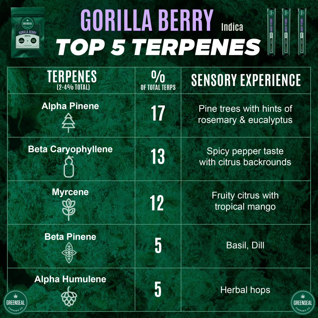 Gorilla Berry Top 5 Terpenes