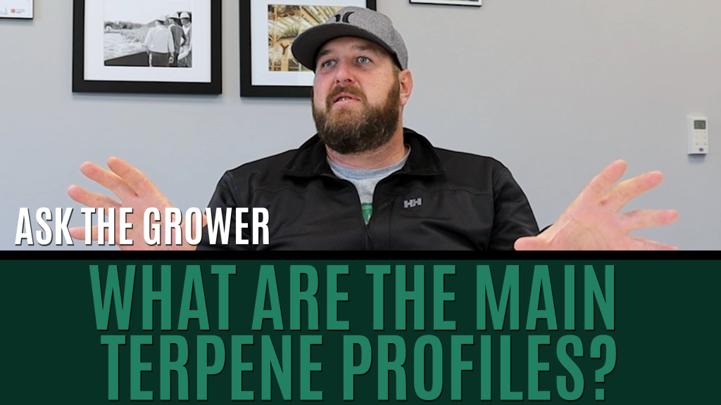 Ask The Grower - What are the Main Terpene Profiles Title Card