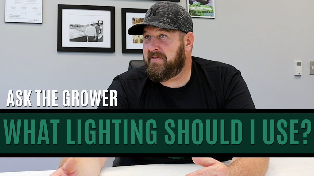 Ask The Grower - What Lighting Should I Use - Title Card