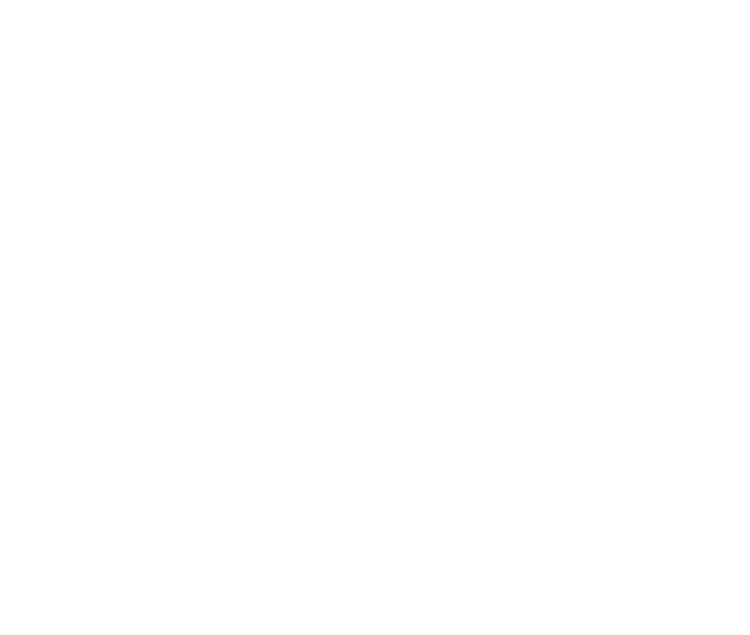 Bonfire Logo - White Transparent