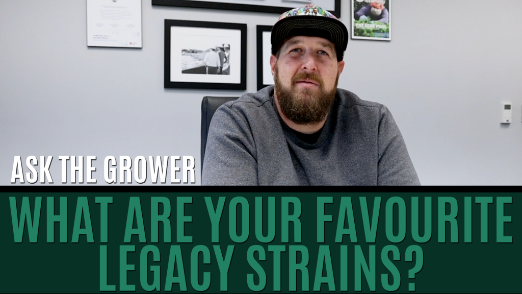 Ask The Grower - What Are Your Favourite Legacy Strains Title Card