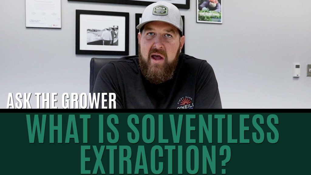 Ask The Grower - What Is Solventless Extraction Title Card