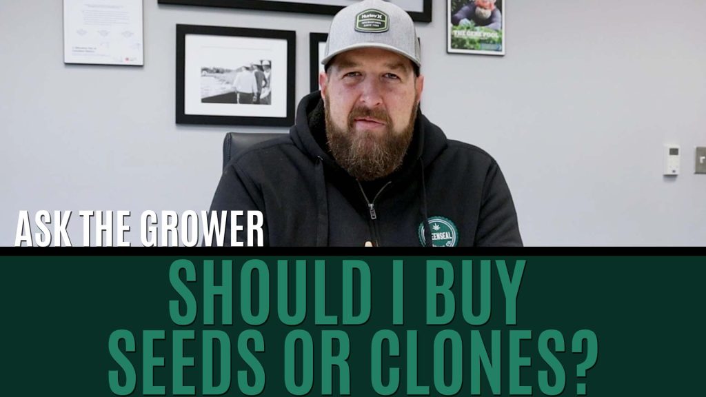Ask The Grower - Should I Buy Seeds Or Clones Title Card