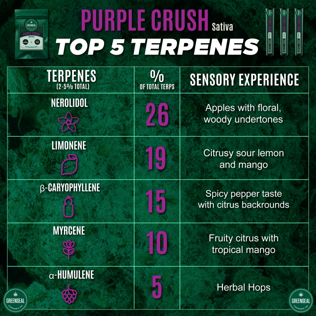 Purple Crush - Top 5 Terpenes