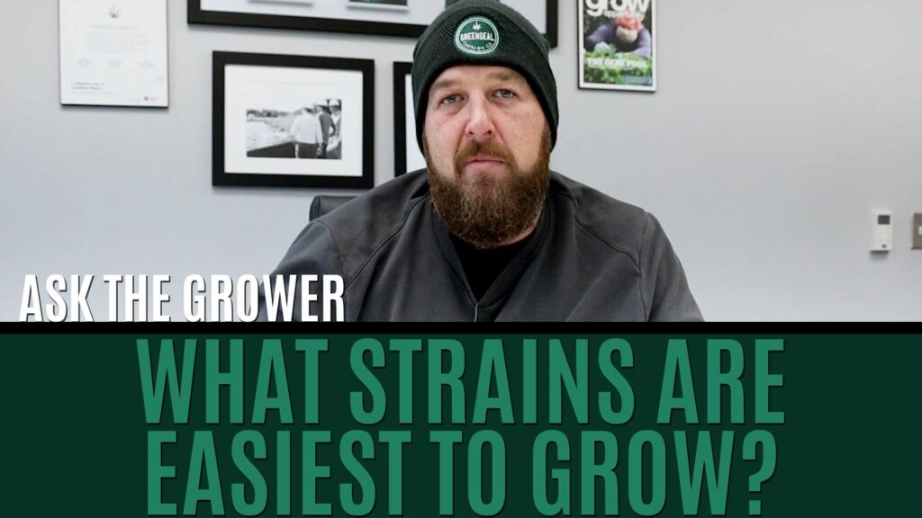 Ask The Grower - What Strains Are Easiest To Grow - Title Card